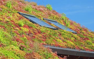 Long Newnton living roof systems